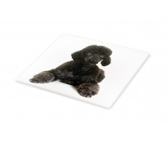 Fluffy Purebred Animal Love Cutting Board