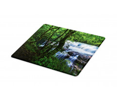 Canyon Woods Scene Cutting Board