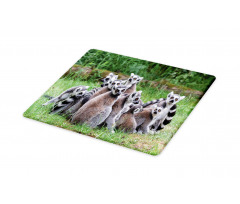 Ring Tailed Madagascar Monkey Cutting Board