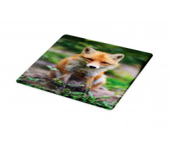 Young Coyote Photo Cutting Board