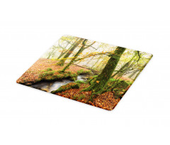 Misty Woods Cornwall Cutting Board