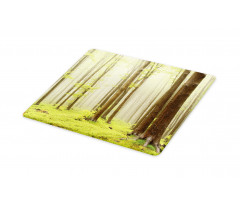 Misty Beech Forest Photo Cutting Board