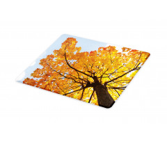 Maple Leaves Fall Autumn Cutting Board