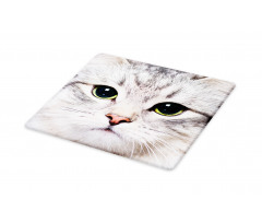 Face of a Domestic Kitty Cutting Board