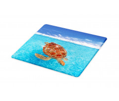 Chelonia Water Surface Cutting Board