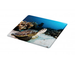 Turtle Coral Reef Cutting Board