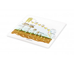 Life Cycle of Mushrooms Cutting Board