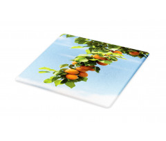 Succulent Apricots on Tree Cutting Board