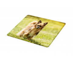 Long Haired Small Dog Cutting Board