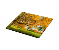 Tree Branches Blue Sky Cutting Board