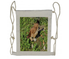 Animals on Shamrocks Drawstring Backpack