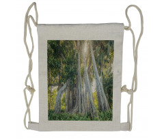 Giant Ficus Trunk Sunbeams Drawstring Backpack