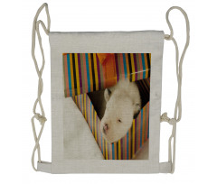 Newborn Dog in Gift Box Photo Drawstring Backpack