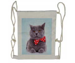 Grey Scottish Fold Theme Drawstring Backpack