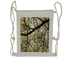 Close up Leafy Branches Photo Drawstring Backpack