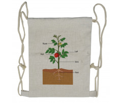 Parts of a Tomato Plant Drawstring Backpack