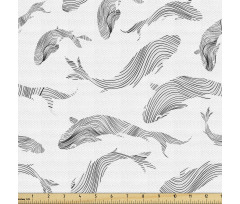 Balık Parça Kumaş Çizgilerden Kara Kalem Çizim Deniz Hayvanları