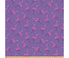 Doğa Mikrofiber Parça Kumaş Ters ve Düz Tek Ayak Üstündeki Flamingolar