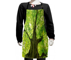 Old Big Majestic Tree Kids Apron