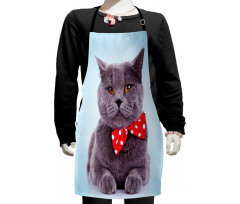 Grey Scottish Fold Theme Kids Apron