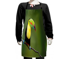 Keel Billed Toucan Kids Apron