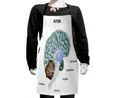 Human Brain with Parts Named Kids Apron