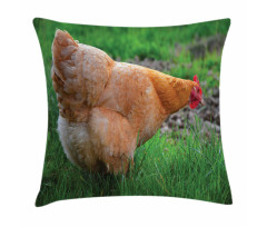 Chicken on Grass Farm Photo Pillow Cover