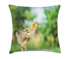 Little Baby Chicken on Log Pillow Cover