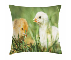 Close up Photo Baby Chickens Pillow Cover