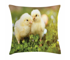 Baby Chickens Photo Pillow Cover