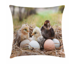 Little Chickens in Hay Eggs Pillow Cover