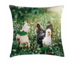 Little Chickens in Daisies Pillow Cover