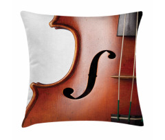 Macro Instrument Photography Pillow Cover