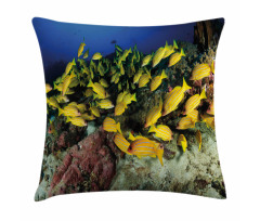 Tropical Fish Coral Reef Pillow Cover