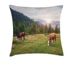 Cows Grazing in Meadow Pillow Cover