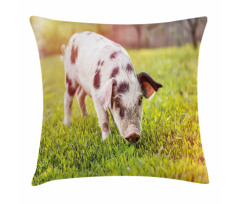 Baby Pig with Spots Pillow Cover