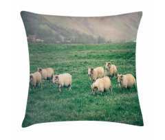 Sheep Grazing on Grass Pillow Cover