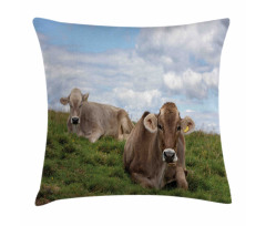 Resting Cows and Sky Pillow Cover