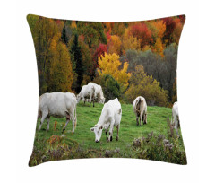 Cows on Autumn Hill Pillow Cover