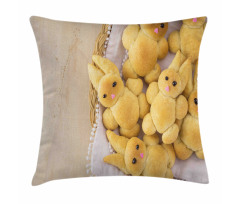 Homemade Rabbit Cookie Pillow Cover