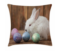 Rustic Egg Coloring Pillow Cover