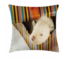 Newborn Dog in Gift Box Photo Pillow Cover