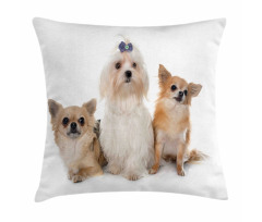 Chihuahua and Maltese Dogs Pillow Cover