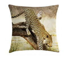 Leopard Wild Cat on Tree Pillow Cover