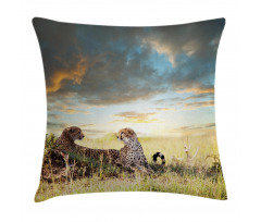 Dangerous Cheetahs in Africa Pillow Cover