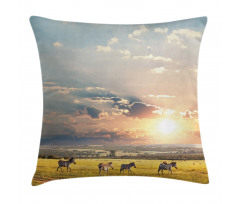 Zebras Exotic Natural Land Pillow Cover