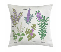 Botanical Infographic Plants Pillow Cover