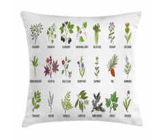 Natural Treatment Infographic Pillow Cover