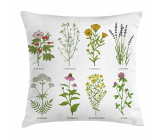 Natural Cosmetics Flowers Pillow Cover