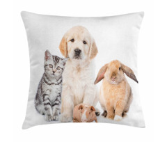 Bunny Piglet Staring Pillow Cover